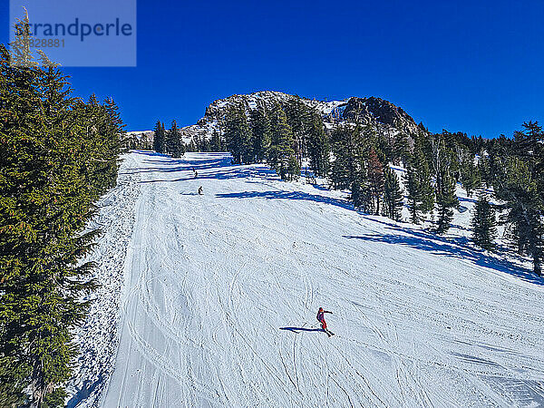Skifahren  Mammoth Mountain  Kalifornien  Vereinigte Staaten von Amerika  Nordamerika