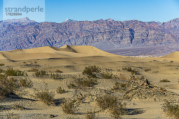 Mesquite Flat Sanddünen  Death Valley  Kalifornien  Vereinigte Staaten von Amerika  Nordamerika