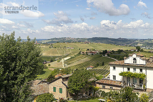 Die Hügel um die Stadt Neive  Neive  Langhe  Piemont  Italien  Europa