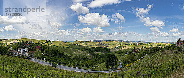 Weinberge zwischen Hügeln  Neive  Langhe  Piemont  Italien  Europa