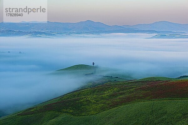 Landschaft bei Sonnenaufgang um Volterra  Provinz Pisa  Toskana  Italien  Europa