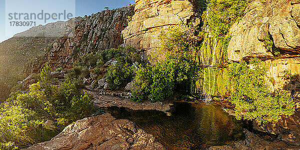 Cederberg Mountains  Westkap  Südafrika  Afrika