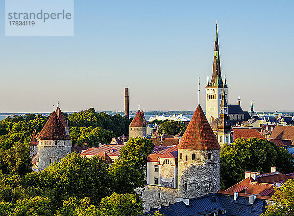 Blick über die Altstadt auf die St. Olafs Kirche bei Sonnenuntergang  UNESCO-Weltkulturerbe  Tallinn  Estland  Europa