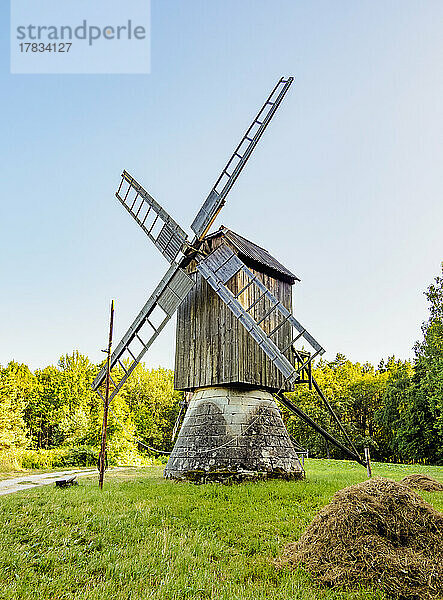 Windmühle im Estnischen Freilichtmuseum  Rocca al Mare  Tallinn  Estland  Europa