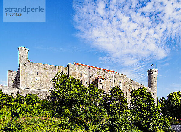 Schloss Toompea  Tallinn  Estland  Europa