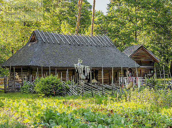 Traditionelles Haus  Estnisches Freilichtmuseum  Rocca al Mare  Tallinn  Estland  Europa