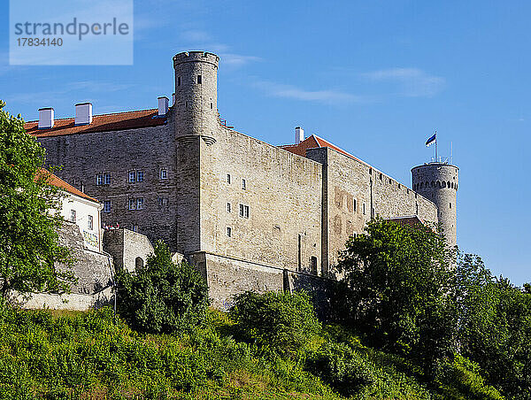 Schloss Toompea  Tallinn  Estland  Europa