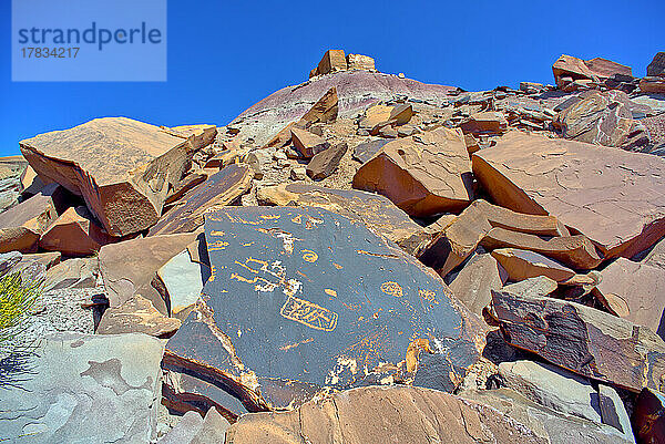 Alte indianische Petroglyphen auf einem Felsblock in der Nähe von Martha's Butte im Petrified Forest National Park  Arizona  Vereinigte Staaten von Amerika  Nordamerika