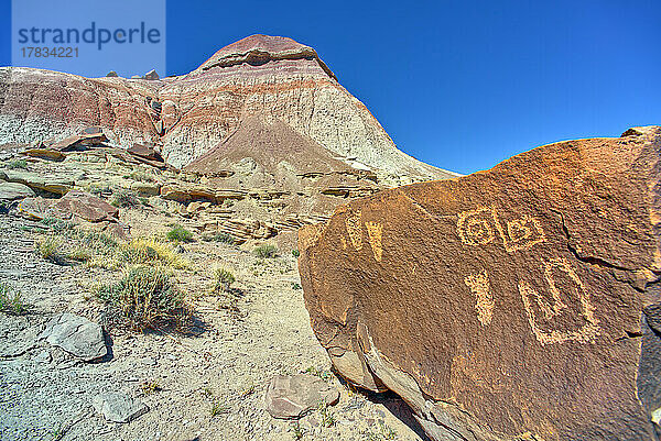 Alte indianische Petroglyphen auf einem Felsblock in der Nähe von Martha's Butte im Petrified Forest National Park  Arizona  Vereinigte Staaten von Amerika  Nordamerika