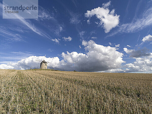 Windmühle in einem abgeschnittenen Feld mit blauem Himmel mit weißen Wolken  Normandie  Frankreich  Europa