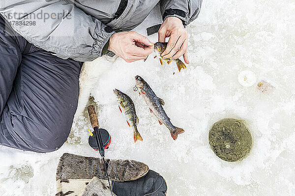 Hochformatige Ansicht eines Mannes  der einen Fisch hält  der gerade aus einem Eisloch gefangen wurde  Lappland  Schweden  Skandinavien  Europa