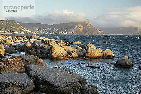 Boulders Beach  Kapstadt  Westkap  Südafrika  Afrika