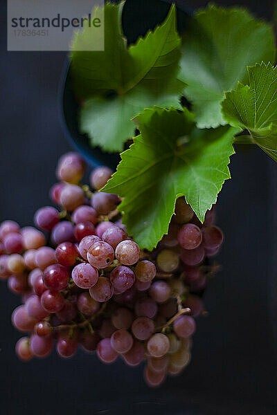 Rote Weintrauben mit Blättern