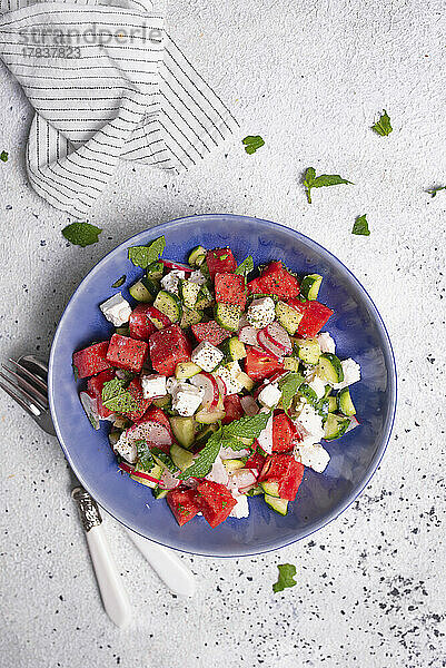 Salat mit Feta-Käse  Wassermelone  Gurke  Radieschen und Minze