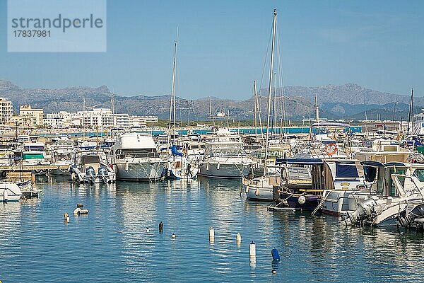 Hafen von Can Picafort  Can Picafort  Mallorca  Spanien  Europa