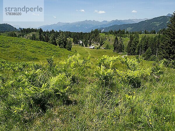 Bewirtschaftete Almhütte auf der Naggler Alm  bei Techendorf  Kärnten  Österreich  Europa