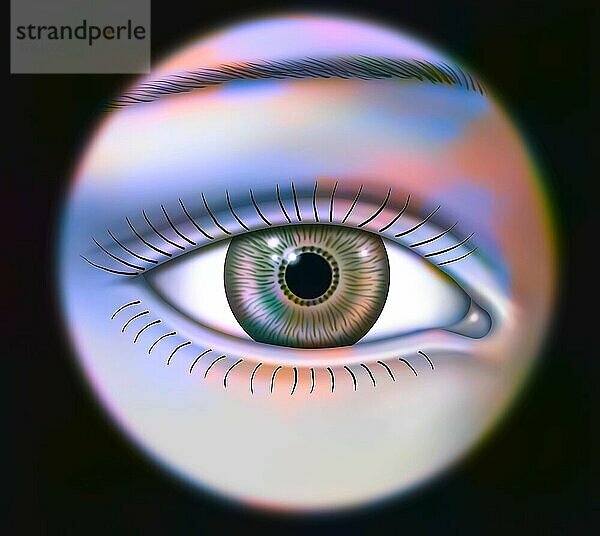 Vorderansicht weibliches Auge mit blauer Iris  Pupille.