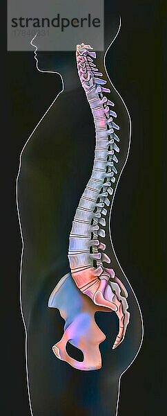 Silhouette der Wirbelsäule eines Mannes im Profil.