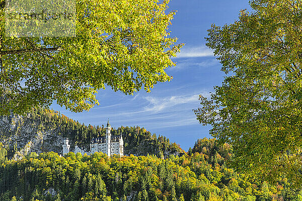 Schloss Neuschwanstein  Schwangau  Allgäu  Bayern  Deutschland  Europa