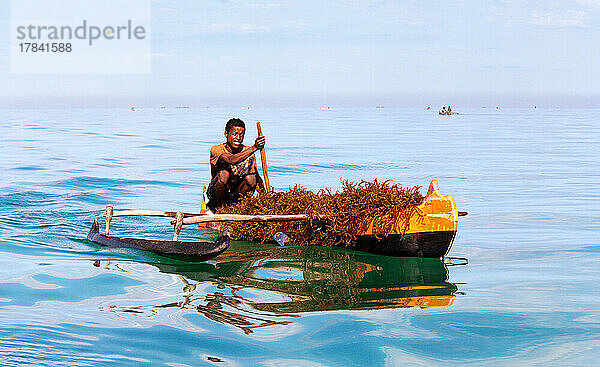 Der Vezo-Stamm lebt ausschließlich vom Mosambik-Kanal  Madagaskar  Indischer Ozean  Afrika