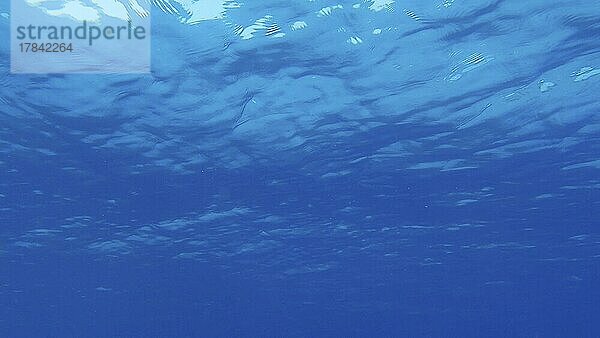 Oberfläche des Meeres. Natürlicher Hintergrund mit Sonnenstrahlen auf der Oberfläche des Wassers. Unterwasser-Ansicht. Rotes Meer  Ägypten  Afrika