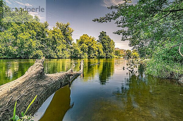 Langzeitbelichtung von einem Baum in dem Fluss Saale im Paradies Park bei blauen Himmel und Sonnenschein  Jena  Thüringen  Deutschland  Europa