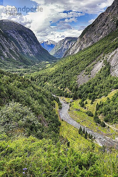 Blick von oben auf das bewaldete Tal Eikesdalen  hohe Berge und den Fluss Aura  norwegische Bergstraße  beeindruckende Landschaftsroute Aursjøvegen  Aursjovegen  Eikesdal  Eikesdalen  Molde  Møre og Romsdal  Vestland  Norwegen  Europa