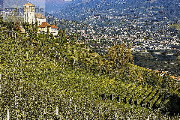 Schloss Lebenberg über Weinberge  hinten die Kurstadt Meran  nahe Tscherms  Südtirol  Italien  Europa