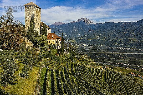 Schloss Lebenberg über Weinberge  nahe Tscherms  Südtirol  Italien  Europa