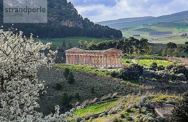 Frühlingslandschaft mit dem Tempel von Segesta  Calatafimi  Nordwesten  Sizilien  Italien  Europa