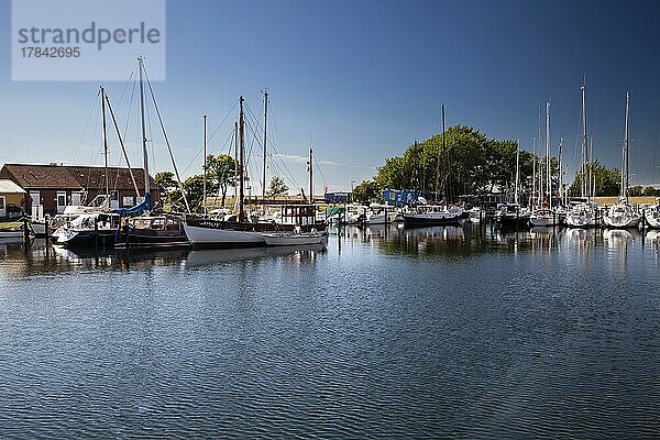 Hafen von Orth mit Segelbooten Insel Fehmarn  Ostsee  Schleswig-Holstein  Deutschland  Europa