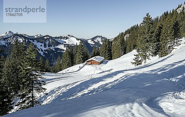 Almhütte im Winter  Mangfallgebirge  Bayern  Deutschland  Europa