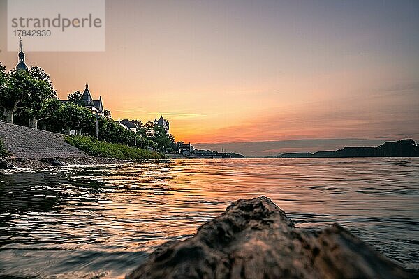 Kurfürstliche Burg am Rheinufer  Eltville am Rhein  Rheingau  Hessen  Deutschland  Europa