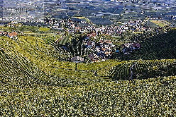 Die Ortschaft Tscherms in mitten von Weinbergen  Aussicht vom Marlinger Waalweg  Südtirol  Italien  Europa