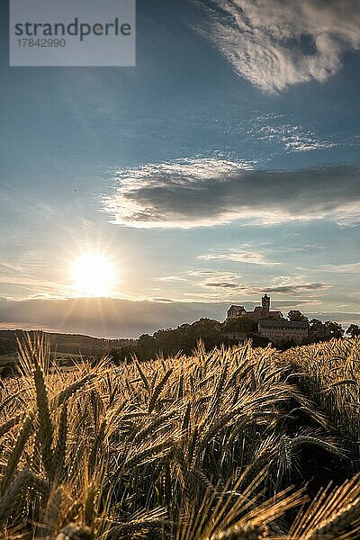 Eine Burg in einer Landschaft mit gedreidefeld und sonnenuntergang  Ronneburg  ronneburg  hessen  Deutschland  Europa