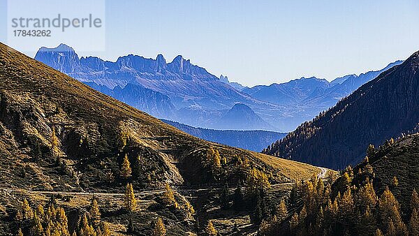 Wanderweg in herbstlicher Berglandschaft  hinten die Bergkulisse der Dolomiten  Ski- und Wandergebiet Meran 2000  nahe Meran  Südtirol  Italien  Europa