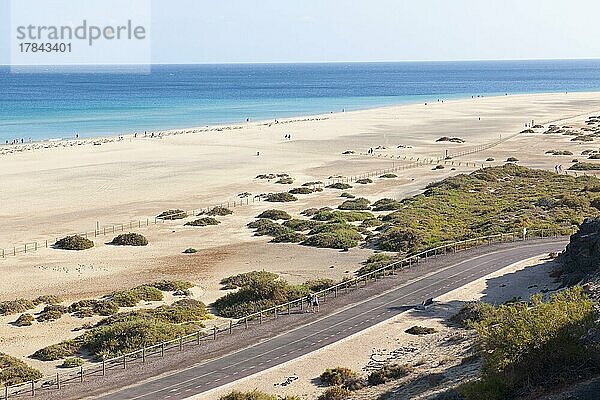 Blick auf breiter langer Sandstrand von Atlantik an Ostküste von Halbinsel Jandia  Fuerteventura  Kanarische Insel  Spanien  Europa
