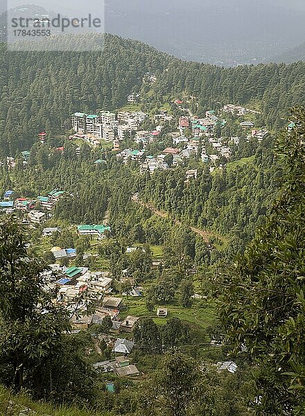 Bergdorf Dharamkot  bei Dharamsala  Himachal Pradesh  Indien  Asien