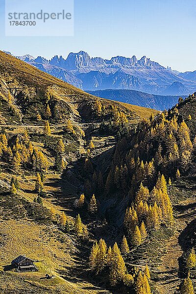 Herbstliche Berglandschaft mit kleiner Berghütte in der Abendsonne  hinten die Bergkulisse der Dolomiten  Ski- und Wandergebiet Meran 2000  nahe Meran  Südtirol  Italien  Europa