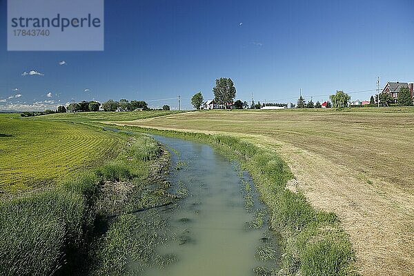 Feld  Bach  Ackerlandlandschaft  Provinz Quebec  Kanada  Nordamerika