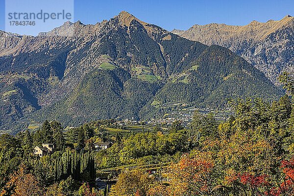 Herbstliche Farben in den Gärten von Schloss Trauttmansdorff  hinten die Mutspitze  nahe Meran  Südtirol  Italien  Europa