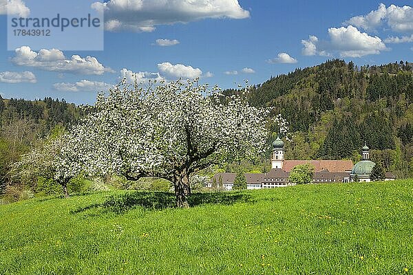 Kloster Sankt Trudpert  Münstertal  Frühling  Schwarzwald  Baden-Württemberg  Deutschland  Kloster Sankt Trudpert  Münstertal  Schwarzwald  Baden-Württemberg  Deutschland  Europa