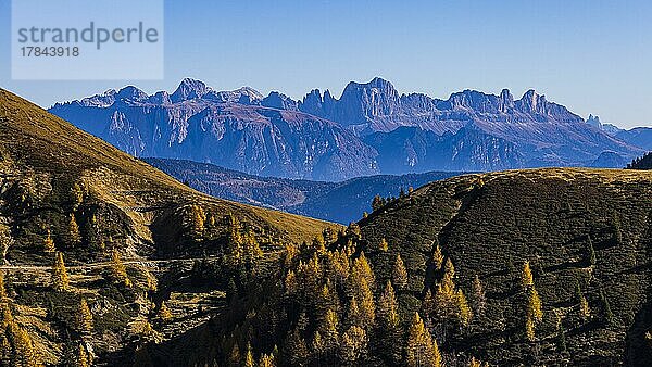 Herbstliche Berglandschaft in der Abendsonne  hinten die Bergkulisse der Dolomiten  Ski- und Wandergebiet Meran 2000  nahe Meran  Südtirol  Italien  Europa