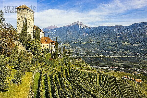Schloss Lebenberg über Weinberge  nahe Tscherms  Südtirol  Italien  Europa