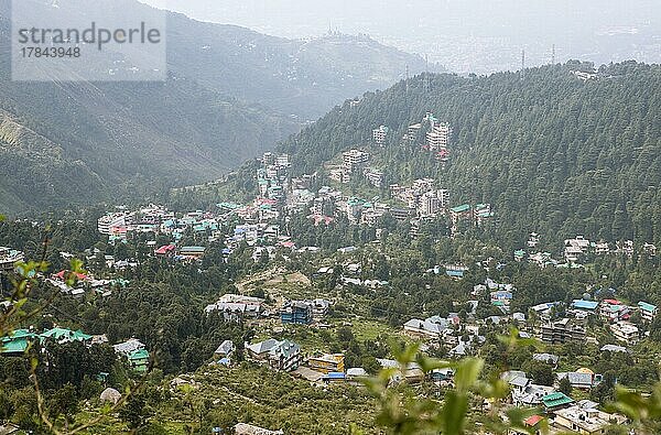 Bergdorf Dharamkot  bei Dharamsala  Himachal Pradesh  Indien  Asien