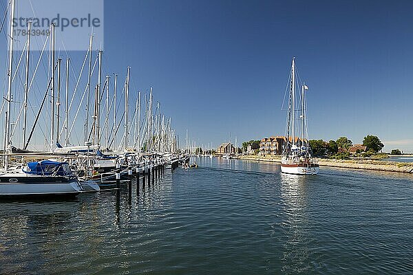 Hafen von Orth mit Segelbooten Insel Fehmarn  Ostsee  Schleswig-Holstein  Deutschland  Europa