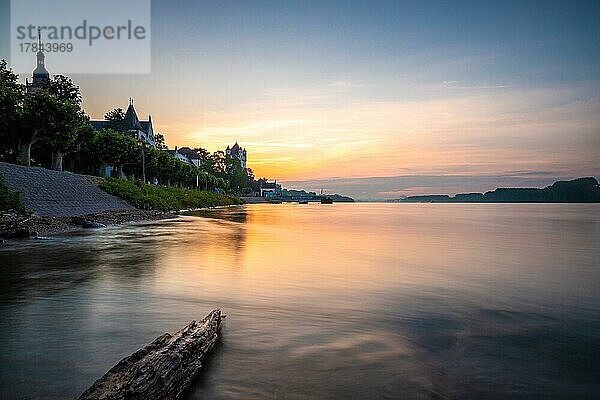 Kurfürstliche Burg am Rheinufer  Eltville am Rhein  Rheingau  Hessen  Deutschland  Europa