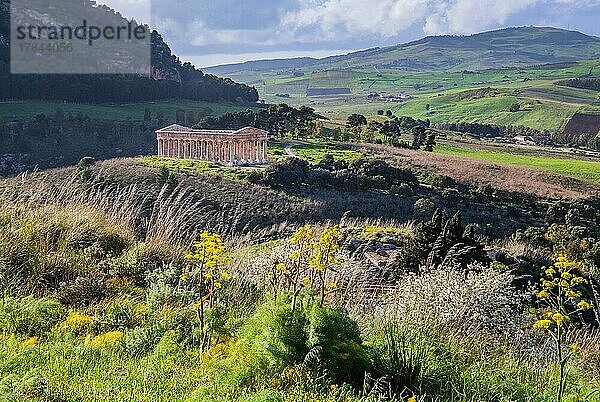 Frühlingslandschaft mit dem Tempel von Segesta  Calatafimi  Nordwesten  Sizilien  Italien  Europa