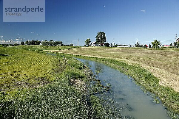 Feld  Bach  Ackerlandlandschaft  Provinz Quebec  Kanada  Nordamerika