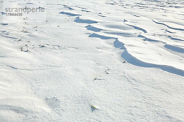 Schneeverwehungen durch Wind aus Pulverschnee sehen aus wie Dünen und bilden bizarre Muster und Strukturen